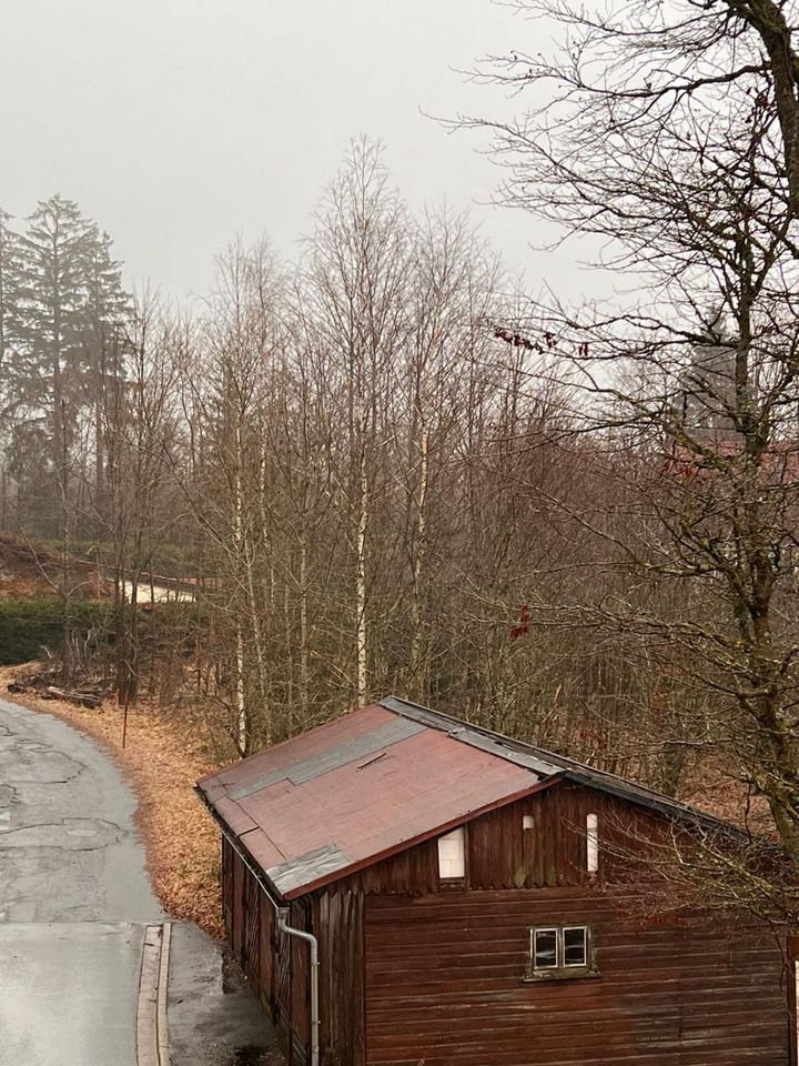 Schönes Baugrundstück am Ochsenkopf-Süd ca. 400m vom Lift in Warmensteinach