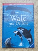 Wale und Delfine - Welt des Wissens Ravensburger Niedersachsen - Ahlerstedt Vorschau