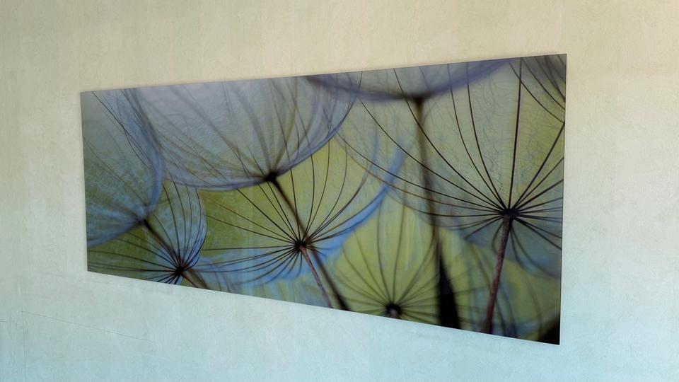 ARTLAND Bild Acrylglas »Pusteblumen-Samen II« Blumen 50x125 cm in Rottweil