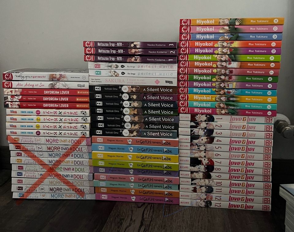 Manga Sammlung in Hürth