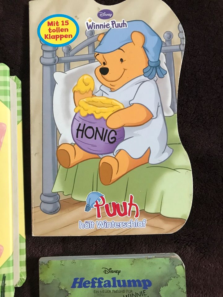 Winnie puuh Pappbücher in Triebel