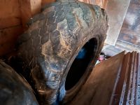 Unimog Felge mit Reifen und einmal ein Reifen Bayern - Fahrenzhausen Vorschau