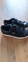 Puma Basket Damenschuhe München - Untergiesing-Harlaching Vorschau