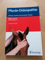 Pferde-Osteopathie, Salomon Stuttgart - Stuttgart-Nord Vorschau