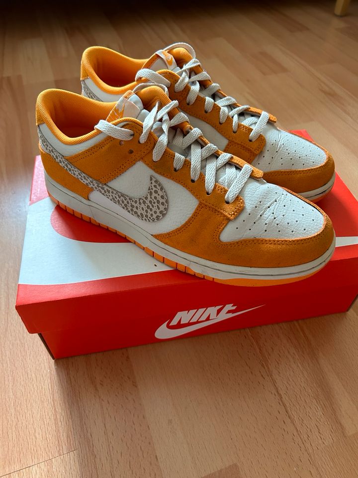 Nike Dunk Low gr. 42,5 in Bremen