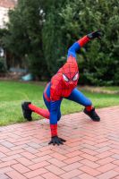 Spiderman Geburtstag Kinder Animation Party Nordrhein-Westfalen - Rheda-Wiedenbrück Vorschau