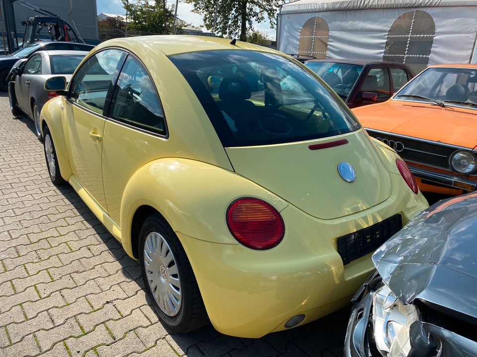 SCHLACHTFEST VW Beetle Ersatzteile Gebrauchtteile KFZ Teile Köln in Köln