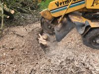 Stucken fräsen/Wurzelentfernung Niedersachsen - Steyerberg Vorschau