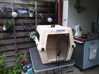 Hundebox Flugbox Trasportbox Baden-Württemberg - Karlsruhe Vorschau