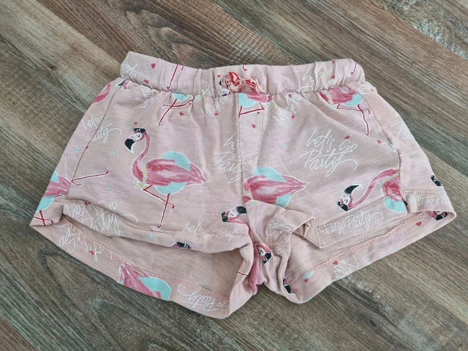 SET! 2 Shorts Gr. 110 116 rosa grün ZARA gilrl Lupilu kurze Hose in Hanau