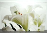 Bild Leinwandbild Lilien 60x40 weiß grün Blumen Natur Botanik,neu Nordrhein-Westfalen - Plettenberg Vorschau