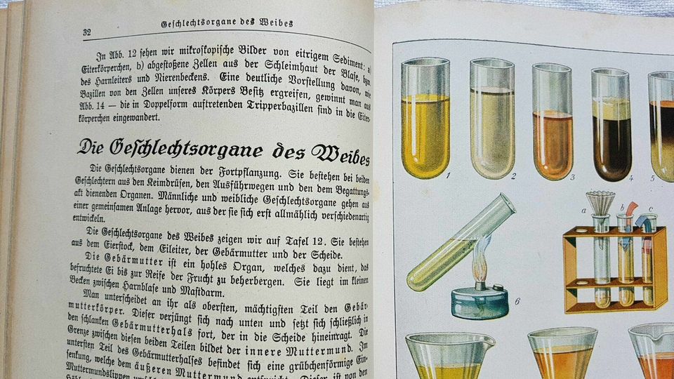 2 Medizin Antik Buch Hebamme Heilpraktiker Arzt Ratgeber Lehrbuch in Nürnberg (Mittelfr)