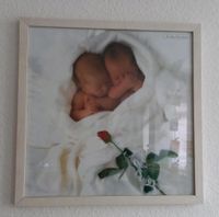 Anne Geddes Bild * Fotografie * 54cm x 54cm Thüringen - Eisenach Vorschau