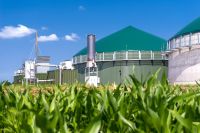 Pferdemist Biogas Substrat und Mist Lieferung Nordrhein-Westfalen - Schwerte Vorschau