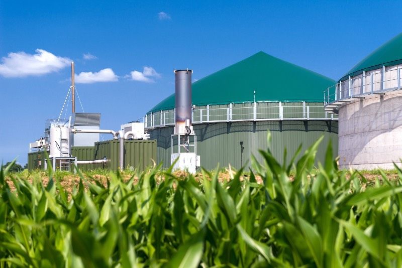 Pferdemist Biogas Substrat und Mist Lieferung in Schwerte