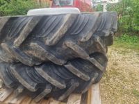 Pflegereifen 300/95R48 & 12.4R28 Maxxum 51er Bayern - Lappersdorf Vorschau