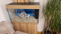 Aquarium komplett 120 liter von Juwel Münster (Westfalen) - Centrum Vorschau