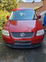 Volkswagen Caddy Life 1.4 5-Sitzer - Nordrhein-Westfalen - Telgte Vorschau