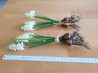 2x 3er Set Hyazinthe weiß mit Zwiebel Kunstblume Seidenblume Nordrhein-Westfalen - Ratingen Vorschau