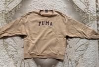 Puma Damen Jogger (Zweiteiler) Harburg - Hamburg Hausbruch Vorschau