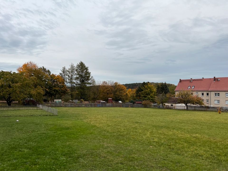 Ihr Traum vom Eigenheim wird wahr: ca. 800m² Bauerwartungsland in ruhiger Lage! in Reinhardtsgrimma