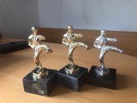 Karate Pokale Bayern - Dietmannsried Vorschau