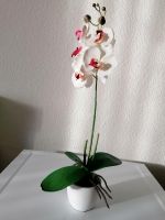 Orchidee künstlich 50cm Nordrhein-Westfalen - Nettetal Vorschau