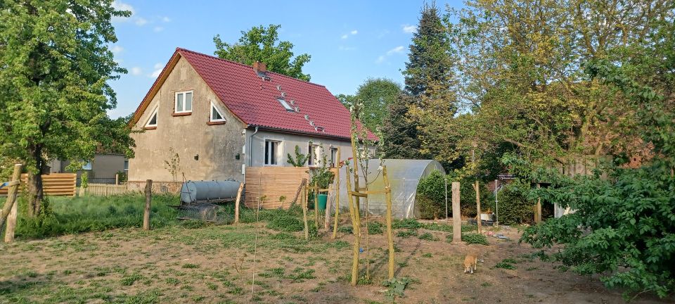 Große Hofstelle mit EFH, Nebengebäuden u Baufläche in Gransee