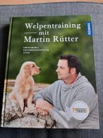 Welpentraining mit Martin Rütter Baden-Württemberg - Altdorf Vorschau