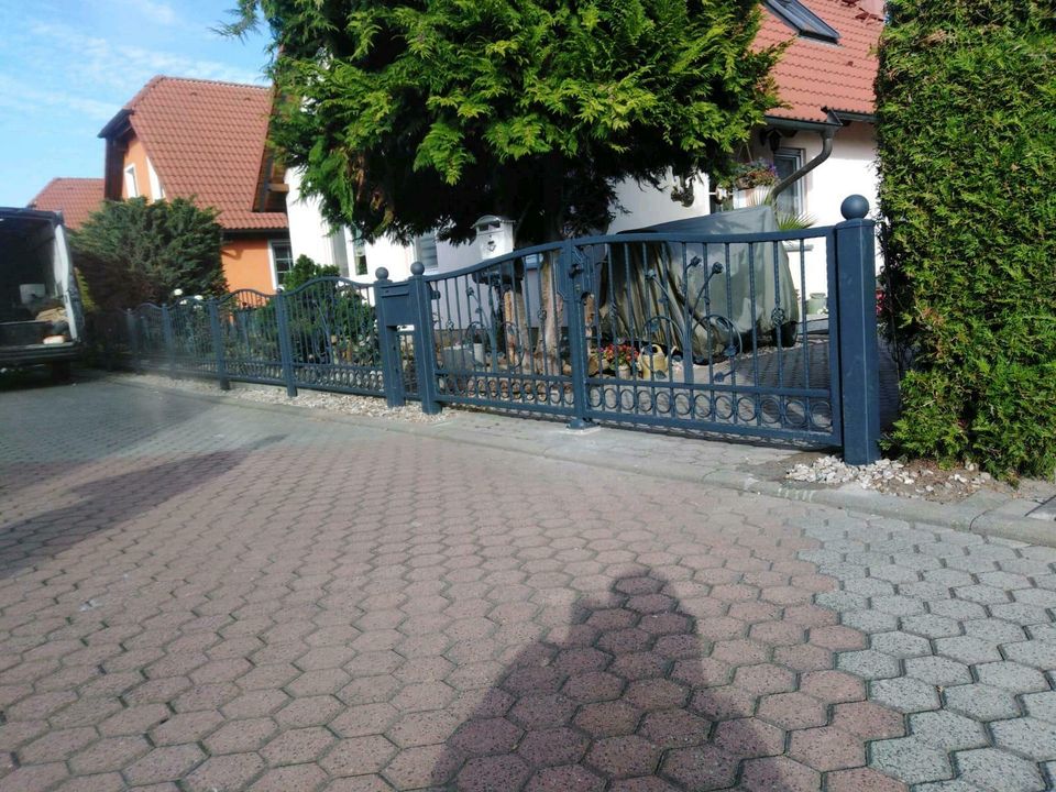 Zäune aus Polen in Bad Köstritz  