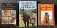 Mein Pferd geht lahm, Krankheiten Reitpferde, Hufbeschlag Schleswig-Holstein - Großenaspe Vorschau