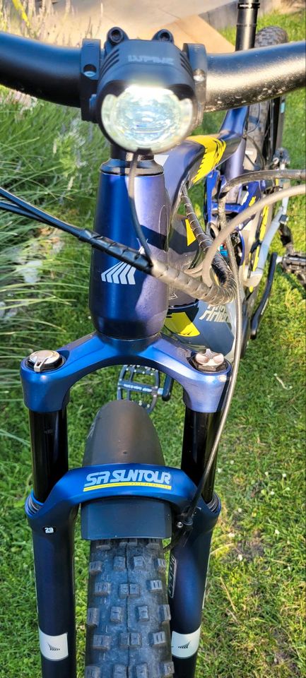 Haibike SDURO FullNine 7.0 L in Jülich