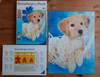 Golden Retrieverwelpe Ravensburger Puzzle XXL 100 Teile 6+ Schleswig-Holstein - Albersdorf Vorschau