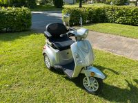 E-Scooter / E-Trike / Rentnermobil Häfen - Bremerhaven Vorschau