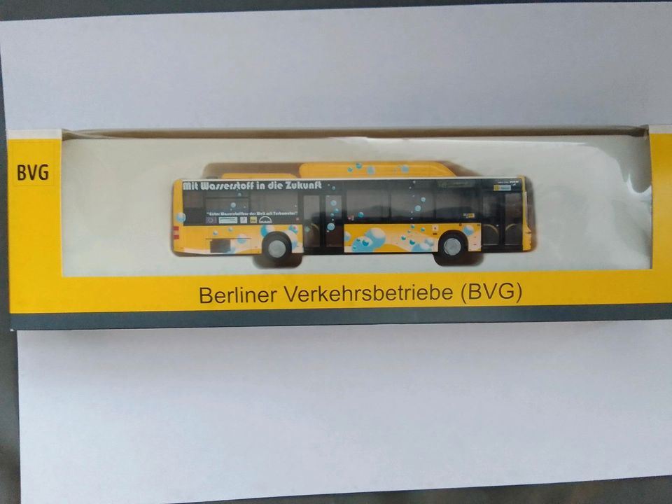 Berlin BVG Bus Nothammer