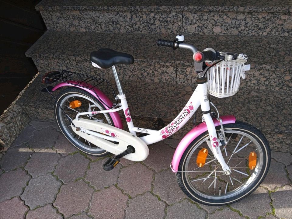 Kinder/Mädchen Fahrrad von Pegasus in Rastatt