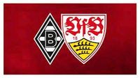 Suche 2-4x Tickets für das Spiel VFB-Gladbach am 18.05.2024 Baden-Württemberg - Reutlingen Vorschau