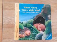 Wenn kleine Tiere müde sind Bayern - Lauingen a.d. Donau Vorschau