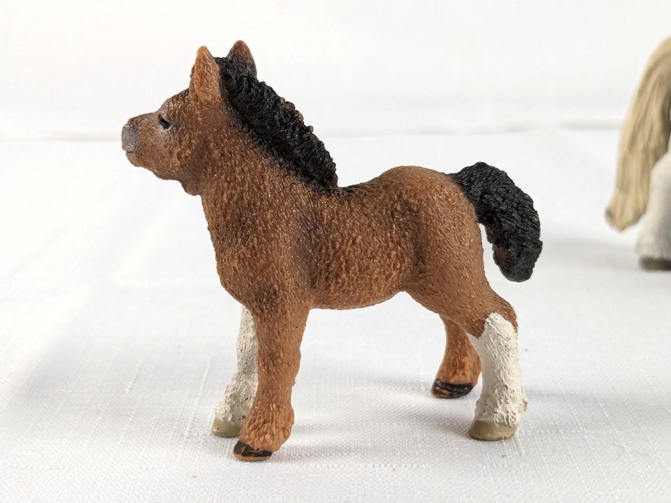 5 Schleich Ponys in Solingen