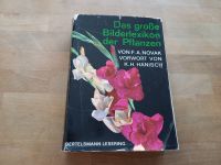 Das große Bilderlexikon der Pflanzen Niedersachsen - Oetzen Vorschau