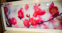 Deko Glasbild Zweig Blüten pink 30 x 125cm Glas neu Bayern - Bodenwöhr Vorschau