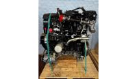 NEUER MOTOR Fiat Ducato, Iveco Daily F1AGL4112 3 4 5 Essen - Stoppenberg Vorschau