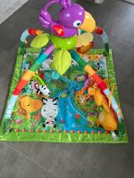 Fisher-Price Safari Spielbogen Baden-Württemberg - Remseck am Neckar Vorschau