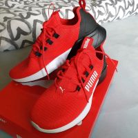 PUMA TURNSCHUHE/Sportschuhe NEUW Bielefeld - Brackwede Vorschau