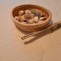 Muscheln zu verkaufen Berlin - Charlottenburg Vorschau