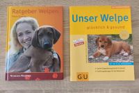 Ratgeber Welpen / Unser Welpe gesund und glücklich Nordrhein-Westfalen - Lippetal Vorschau