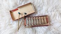Vintage Glockenspiel für Sammler antik Baden-Württemberg - Tuttlingen Vorschau