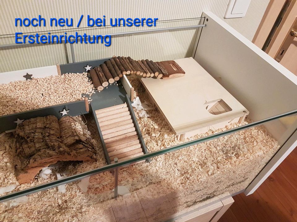 Hamstergehege Detolf Vitrine + Zubehör / auch einzeln in Flieth-Stegelitz