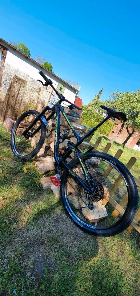 Mountainbike TREK Fuel EX 5 in Magdeburg