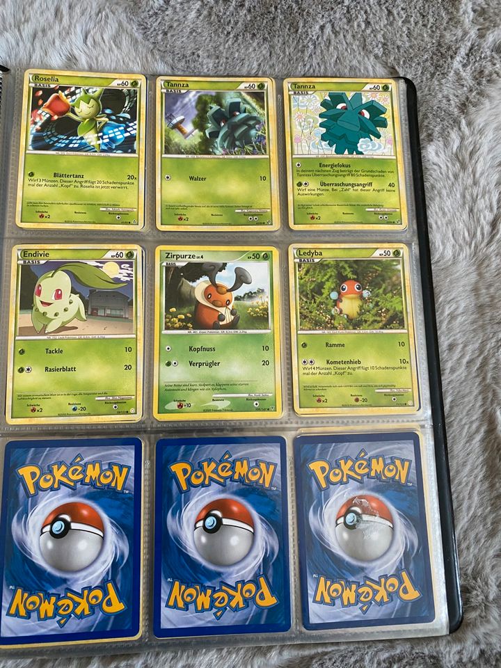 Pokémon Sammlung in Borod Westerwald